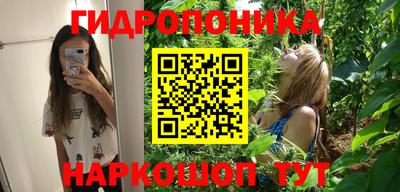 ГАЛЛЮЦИНОГЕННЫЕ ГРИБЫ Моздок