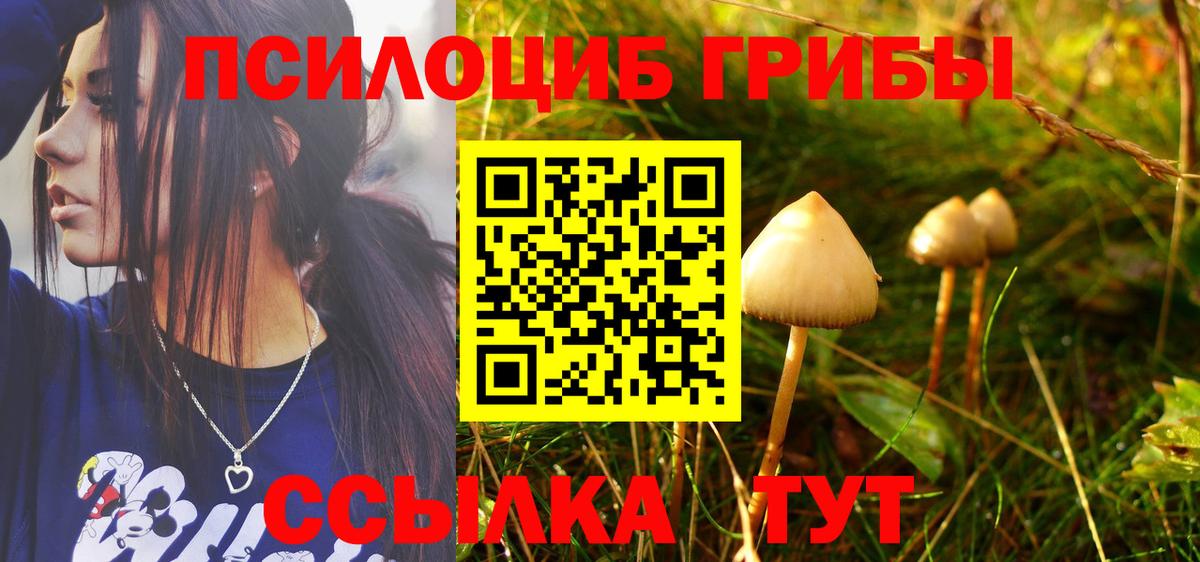 Псилоцибиновые грибы прущие грибы Ухта