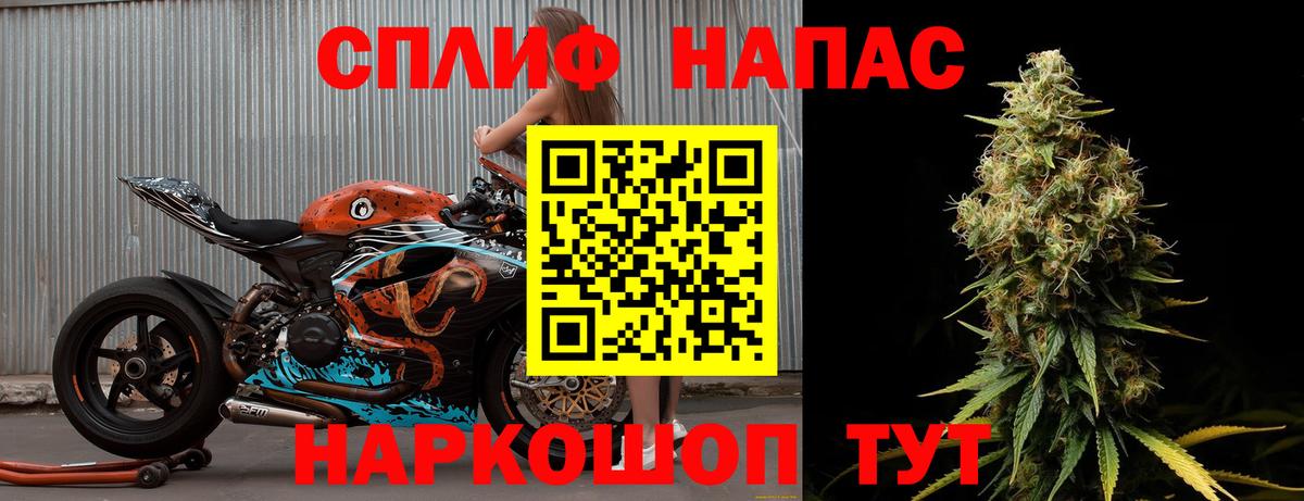 Каннабис гибрид Ухта